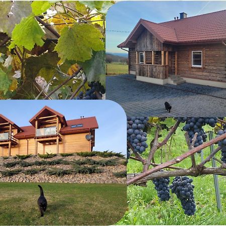 Fantastic View Vineyard Beskid Mountains Gruszow  Екстер'єр фото