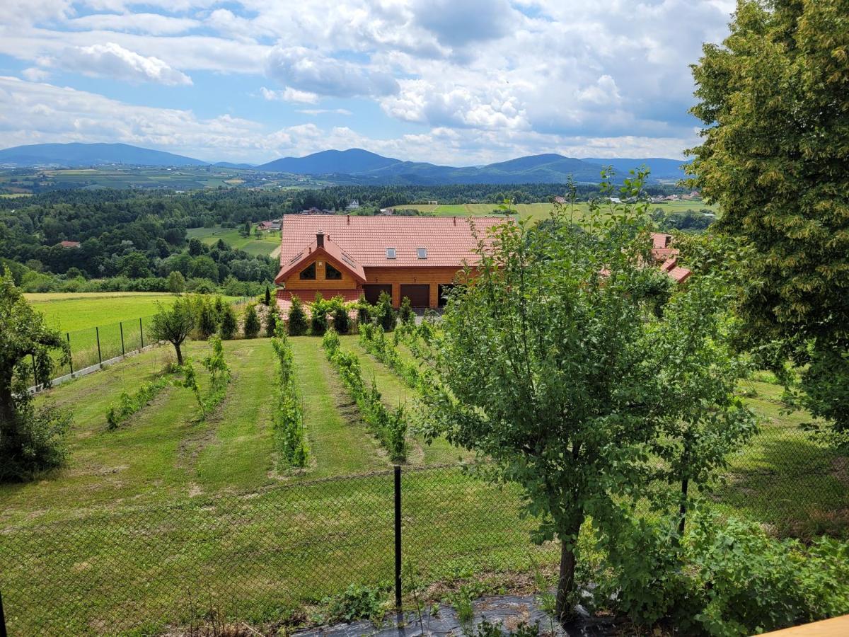 Fantastic View Vineyard Beskid Mountains Gruszow  Екстер'єр фото