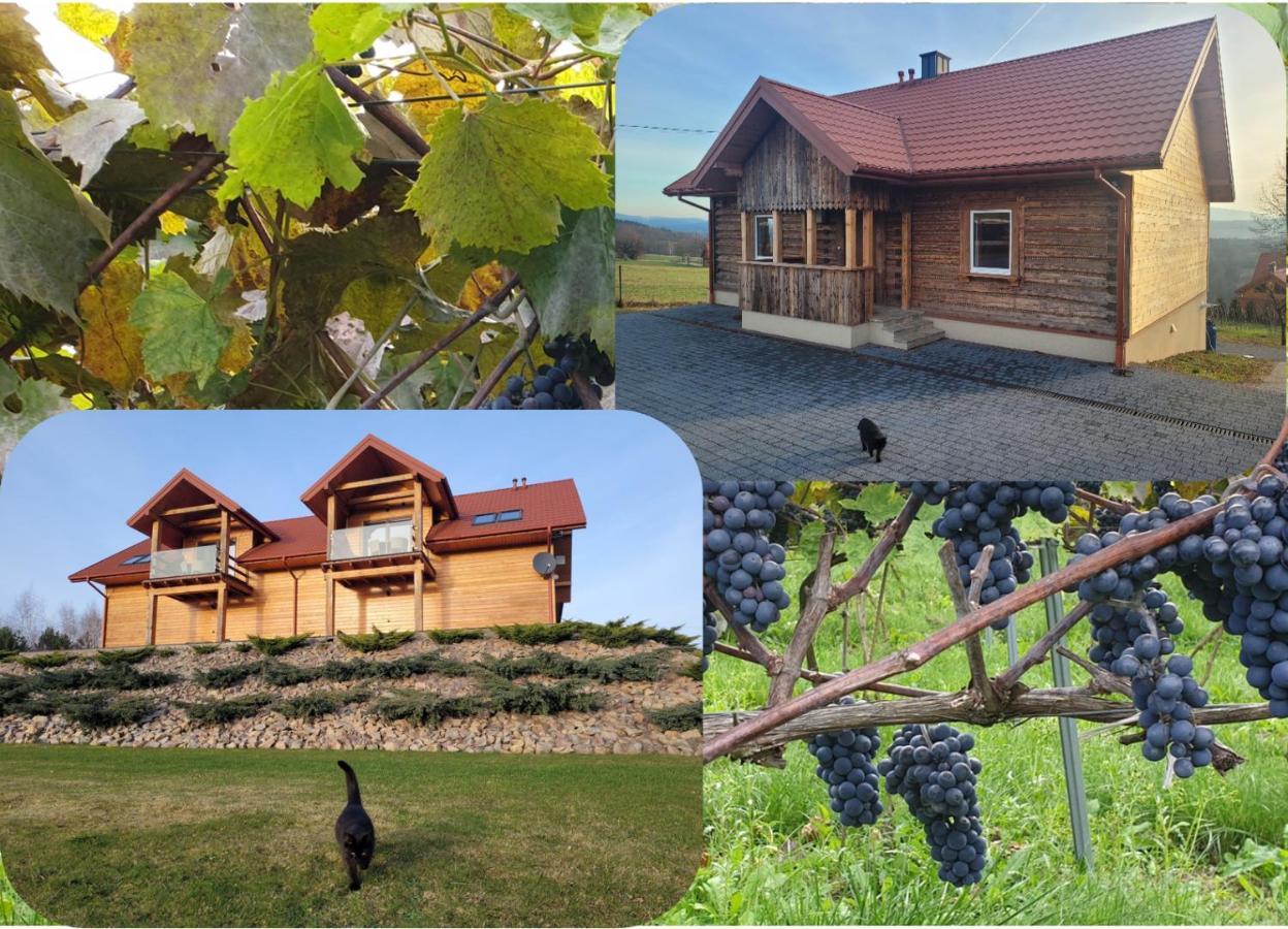 Fantastic View Vineyard Beskid Mountains Gruszow  Екстер'єр фото