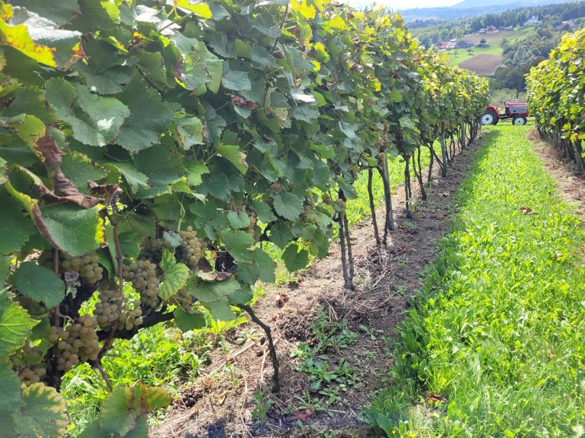 Fantastic View Vineyard Beskid Mountains Gruszow  Екстер'єр фото