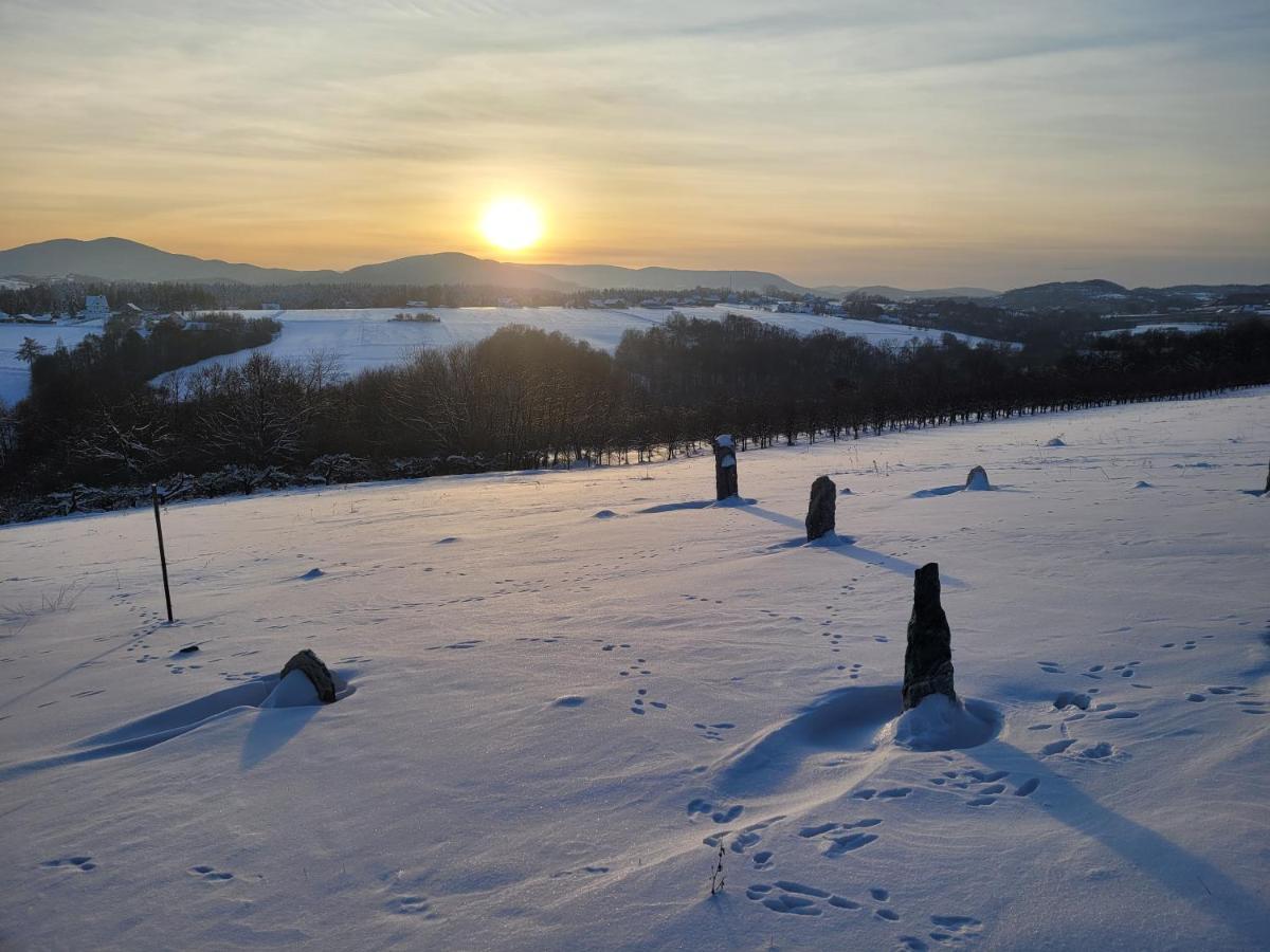 Fantastic View Vineyard Beskid Mountains Gruszow  Екстер'єр фото