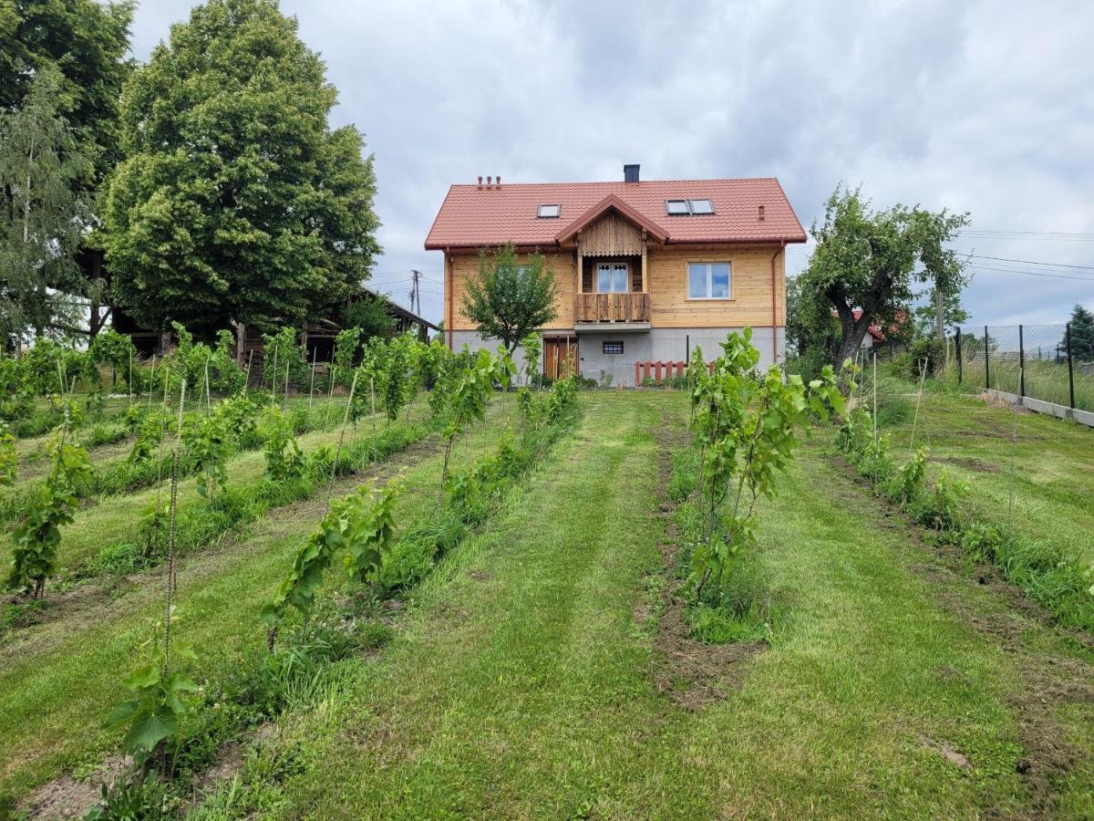 Fantastic View Vineyard Beskid Mountains Gruszow  Екстер'єр фото
