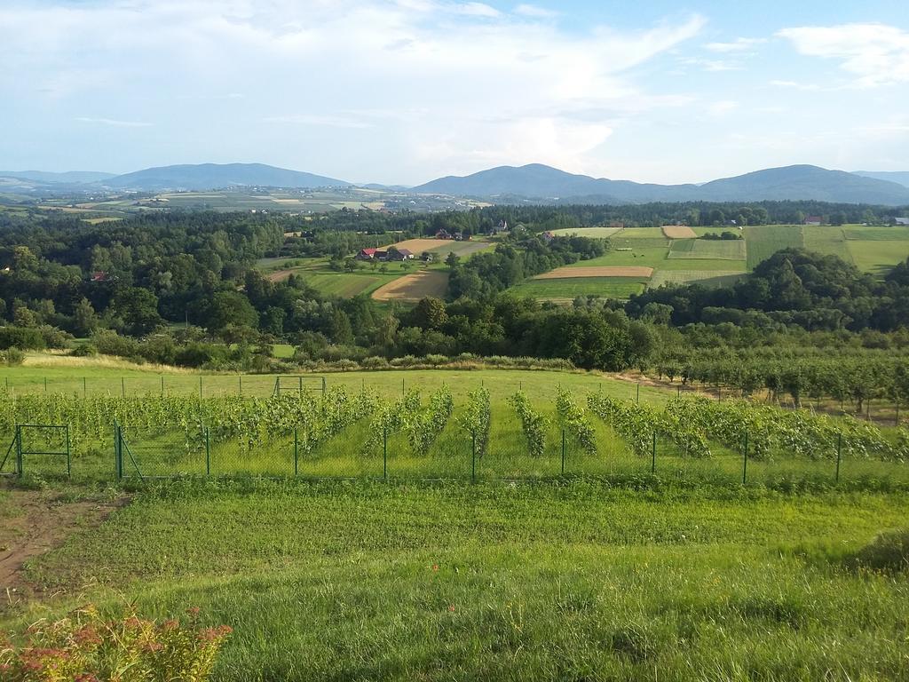 Fantastic View Vineyard Beskid Mountains Gruszow  Екстер'єр фото