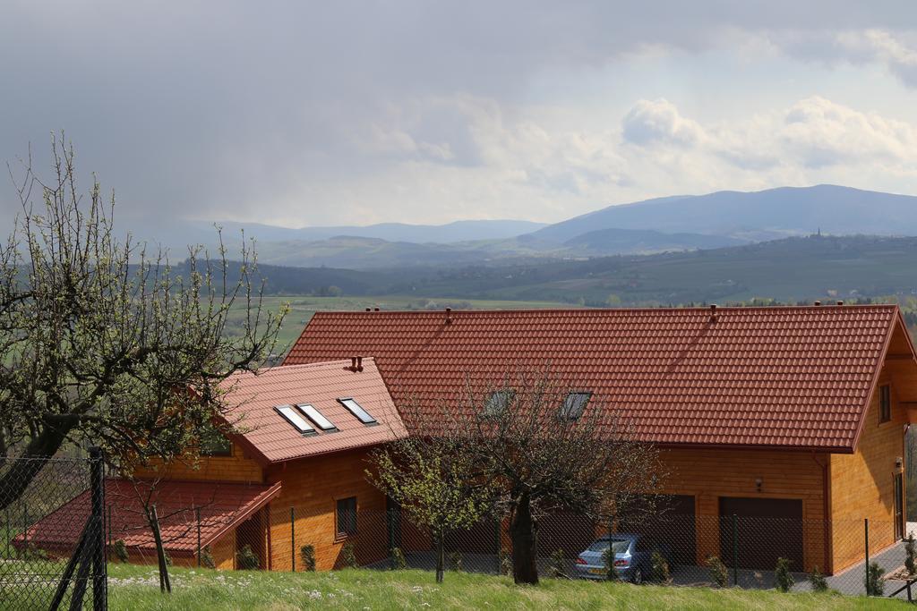 Fantastic View Vineyard Beskid Mountains Gruszow  Екстер'єр фото